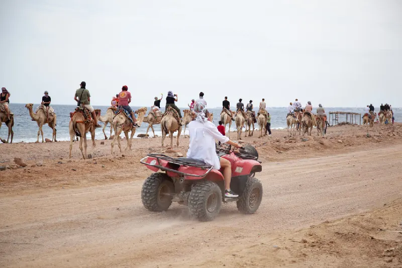 Egipto Completo en 12 Días: El Cairo, Luxor, Asuán y Sharm El Sheikh